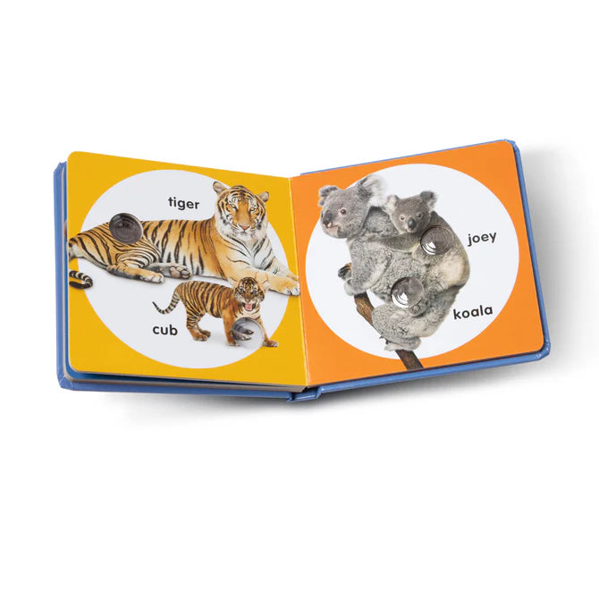 Poke-a-Dot Book | Wild Animal Families