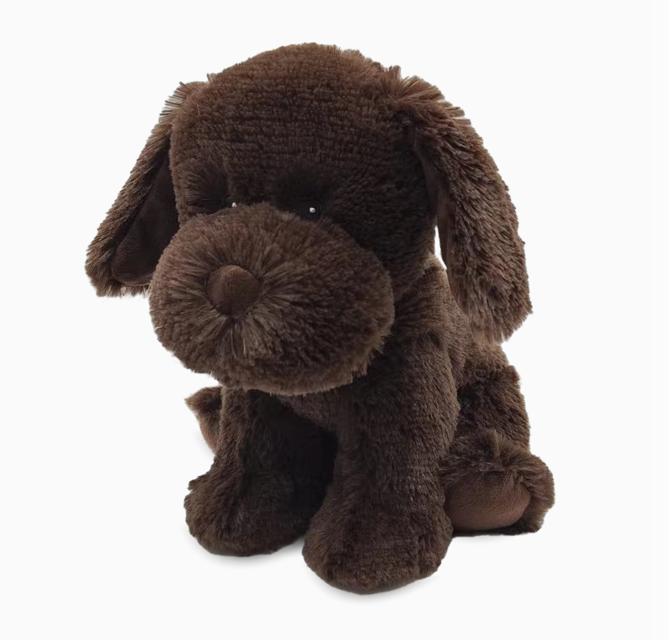Chocolate Lab