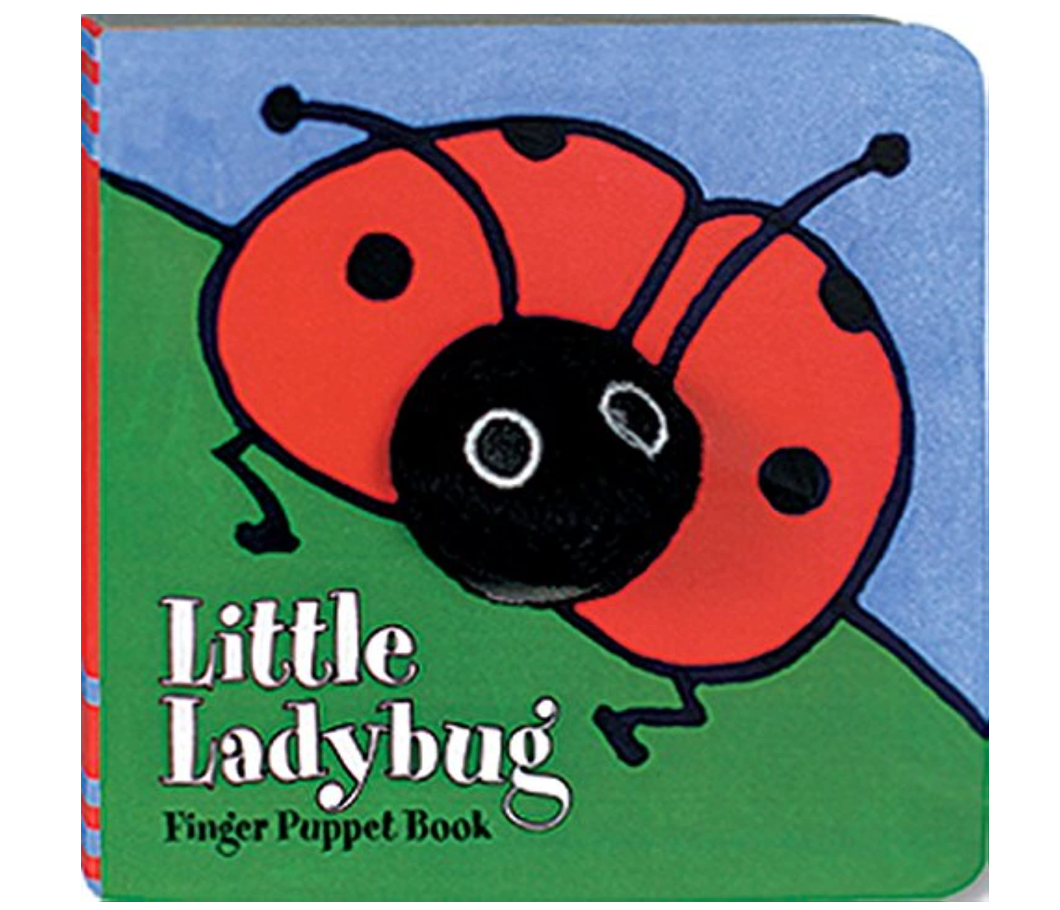 Little Ladybug Puppet Book