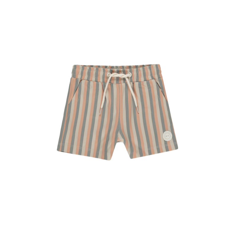 Boardshort | Multi stripe