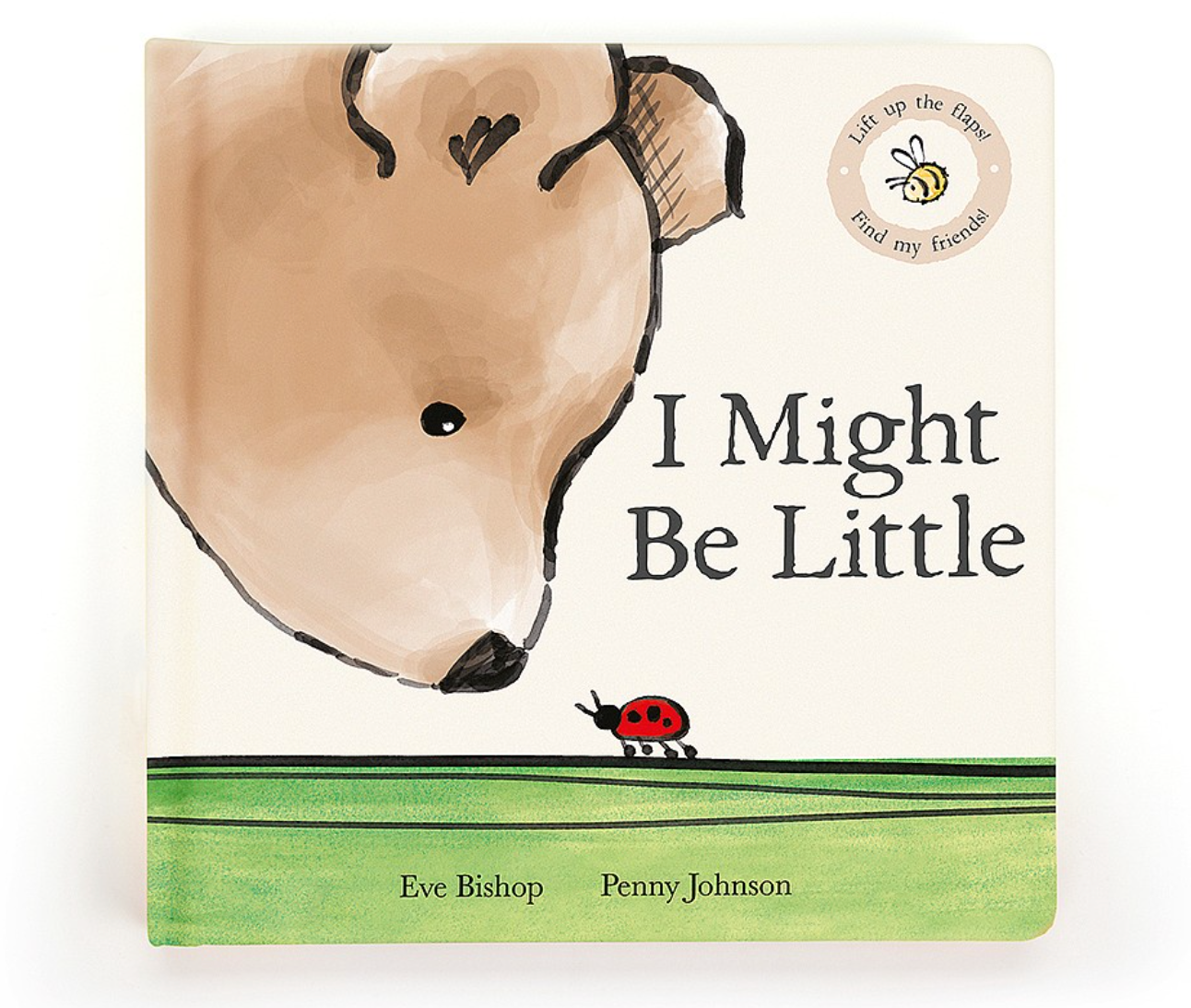 I Might Be Little Book