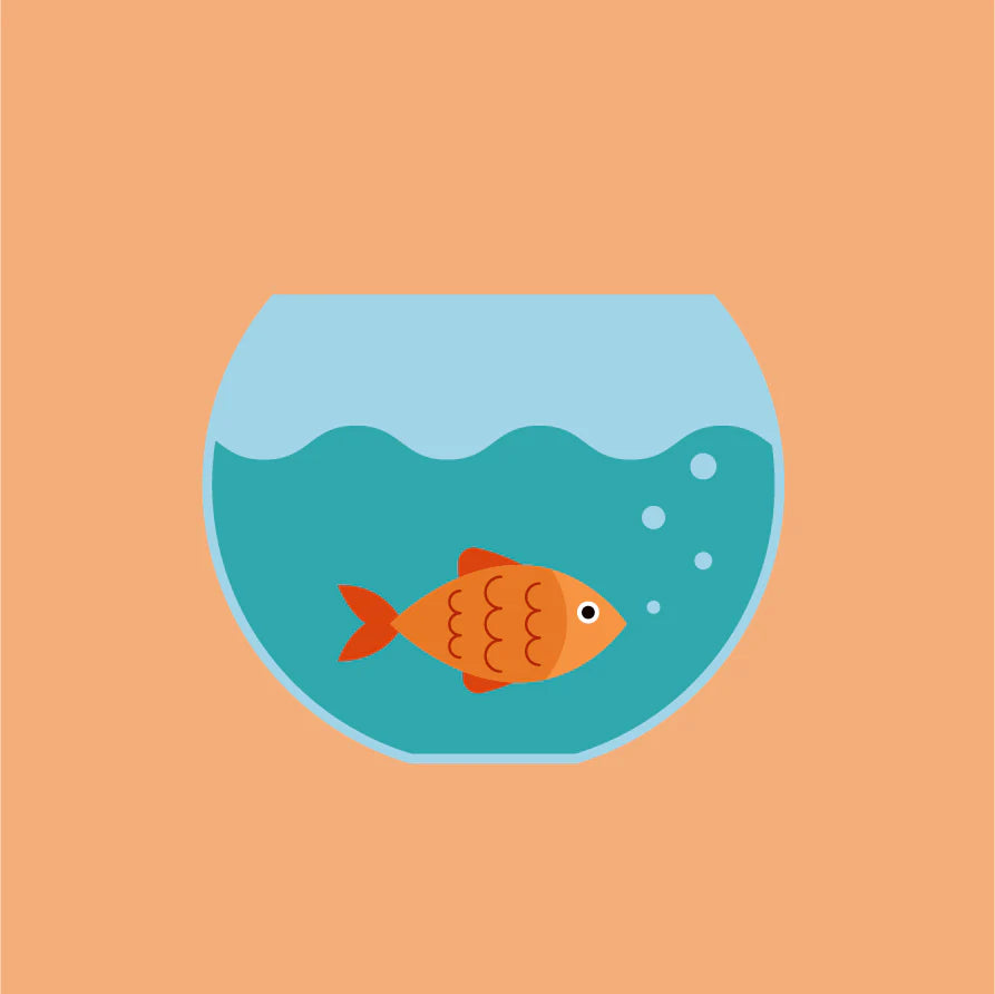 Pink Picasso Gertie Goldfish