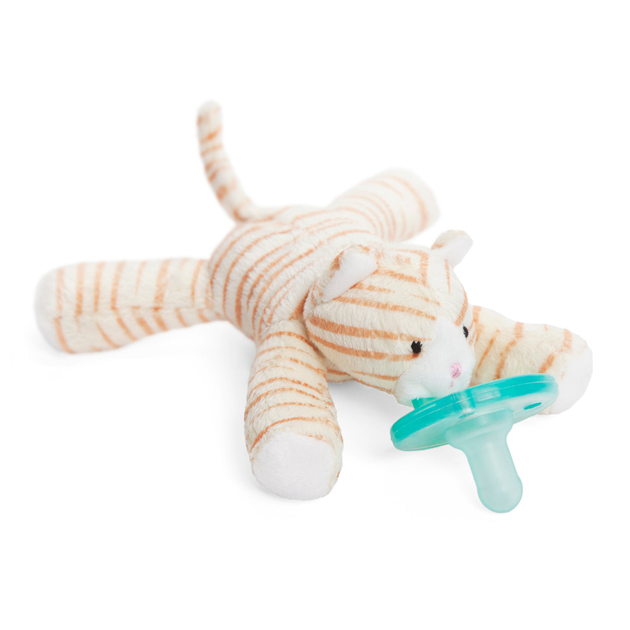 Tabby Kitten