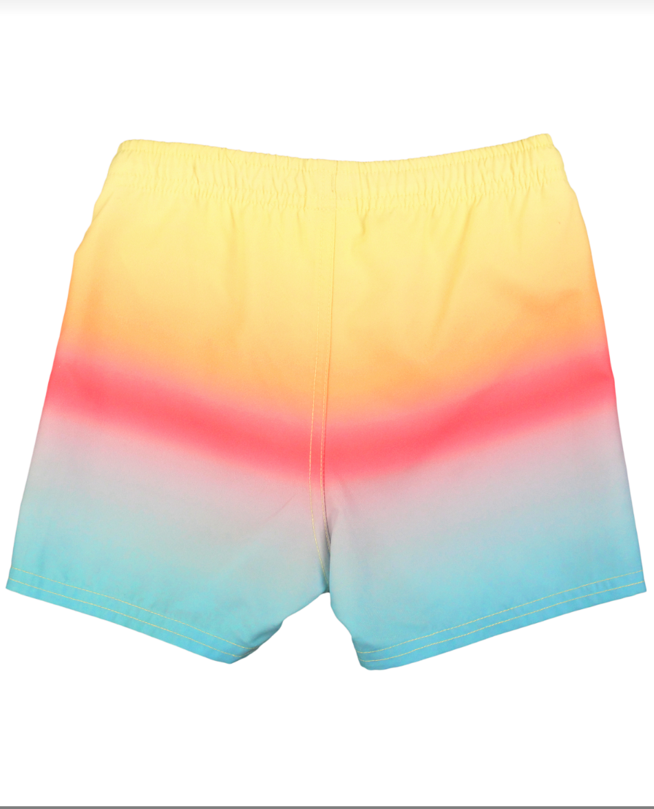 Swim Trunks | Beach Paradise